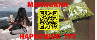 винт Партизанск