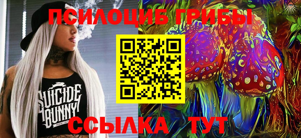 Галлюциногенные грибы GOLDEN TEACHER  Галлюциногенные грибы Psilocybine cubensis  Россошь  Вход с VPN 