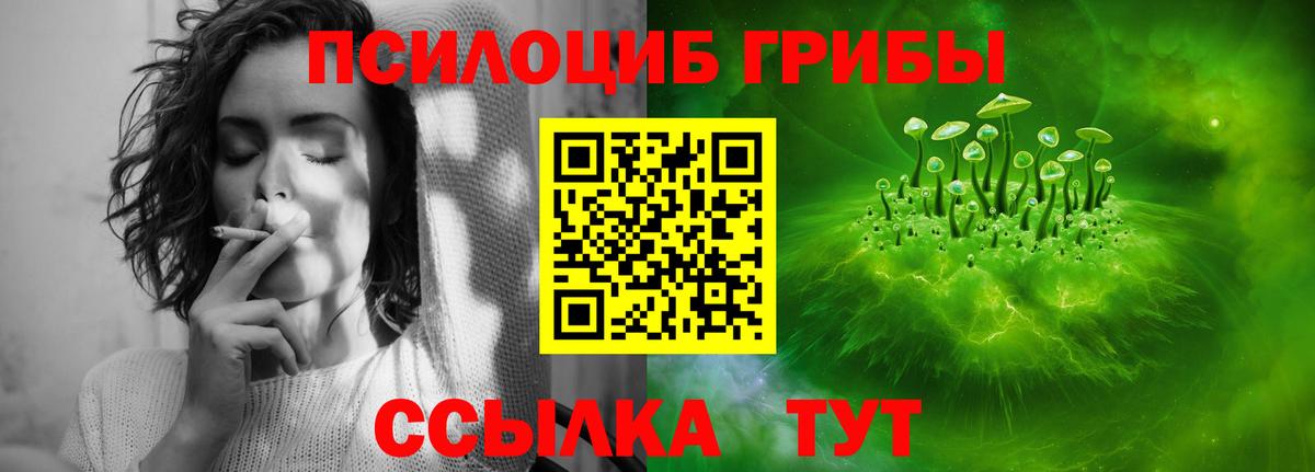 Псилоцибиновые грибы MAGIC MUSHROOMS Россошь